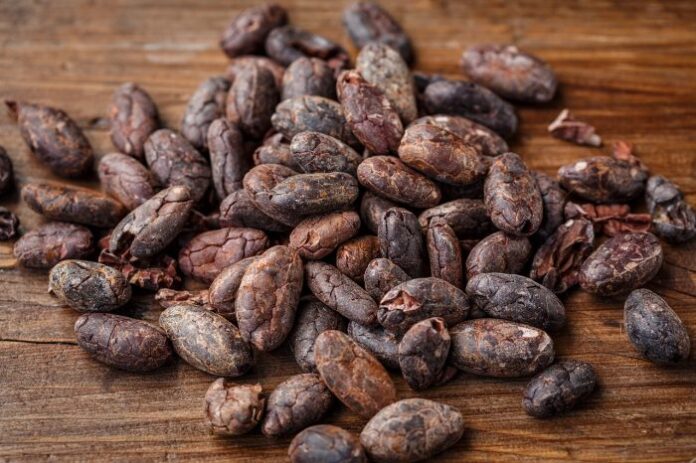 Benefici dei semi di cacao- chimicamo