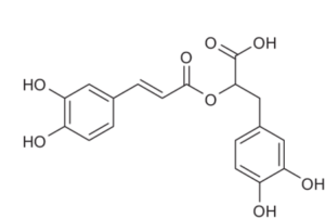struttura acido rosmarinico-chimicamo