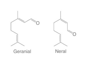 isomeri del citrale