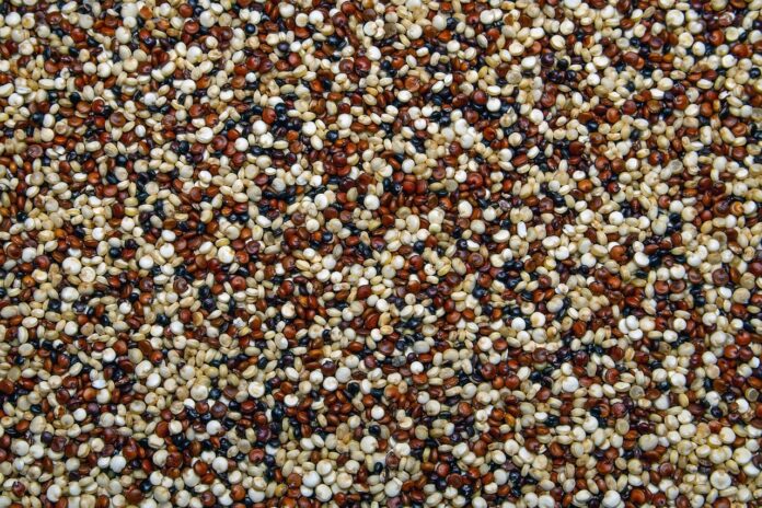 Composizione e componenti della quinoa