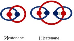 nomenclatura catenani